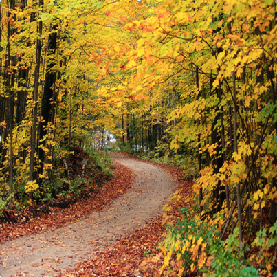 7 Favorite Signs of Fall - Thoughtful Presence